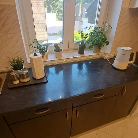 Pavle Apartament