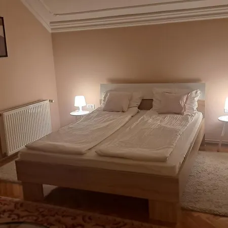 Apartament Pavle *